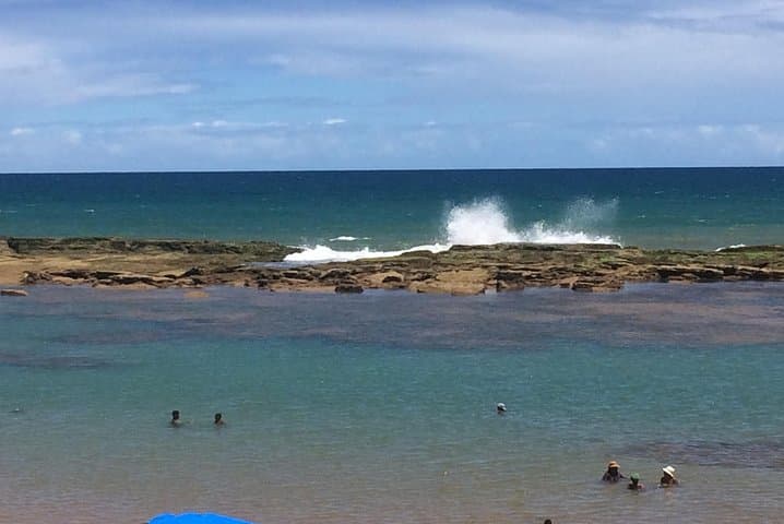 Praia do Forte SUV Beach Hopping on the Coconut Coast — Private 8‑Hour Coastal Tour photo 6