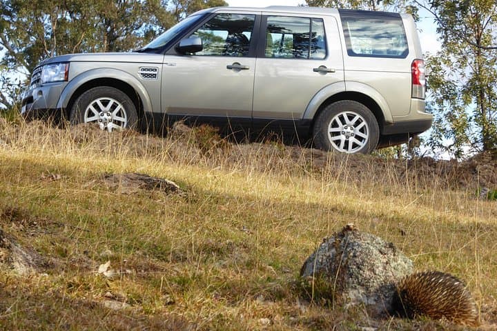 Private Blue Mountains Tour: Tailored Day Trips from Sydney to Katoomba photo 4