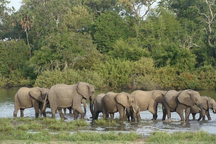 3-Day Selous Game Reserve Safari: Boat, Game-Drive & Walking Safari from Dar es Salaam