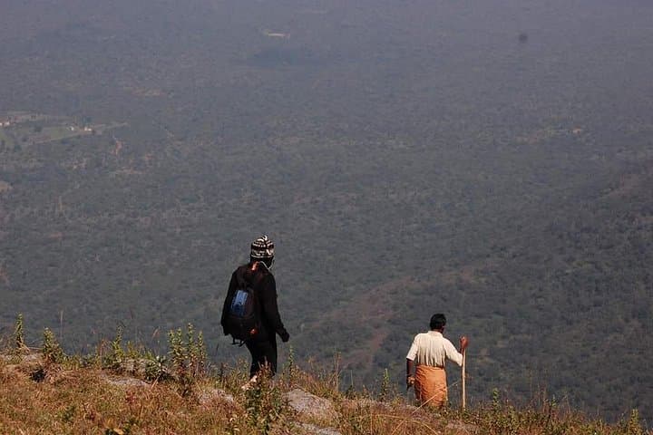 Ooty Day Trip to Bellikkal Estate: Hike Bellikkal Lake, Birdwatch & Farm Lunch