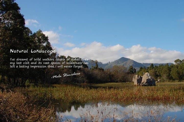 Ooty Day Trip to Bellikkal Estate: Hike Bellikkal Lake, Birdwatch & Farm Lunch photo 2