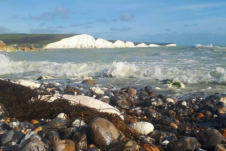 South Downs to Seven Sisters: Full-Day Scenic Tour from Brighton photo 5