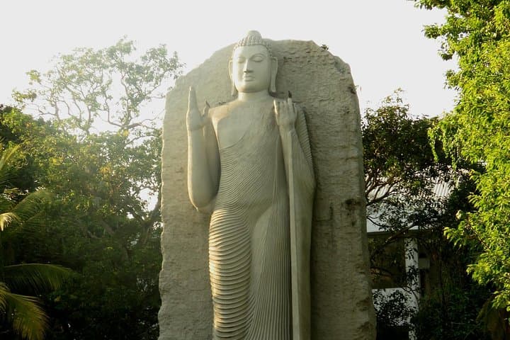 Colombo Shore Excursion: Private 4-Hour City Tour & Kelaniya Temple Visit