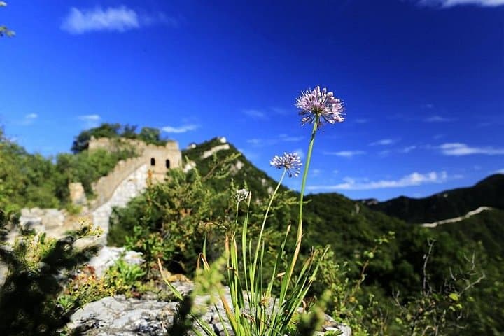 Jiankou to Mutianyu Great Wall Hike — Wild Wall to Restored Ridges (Private Tour) photo 1