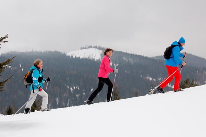 Snowshoe the High Tatras: Full-Day Guided Tour from Poprad photo 3