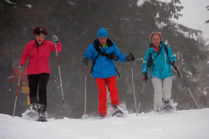 Snowshoe the High Tatras: Full-Day Guided Tour from Poprad photo 4