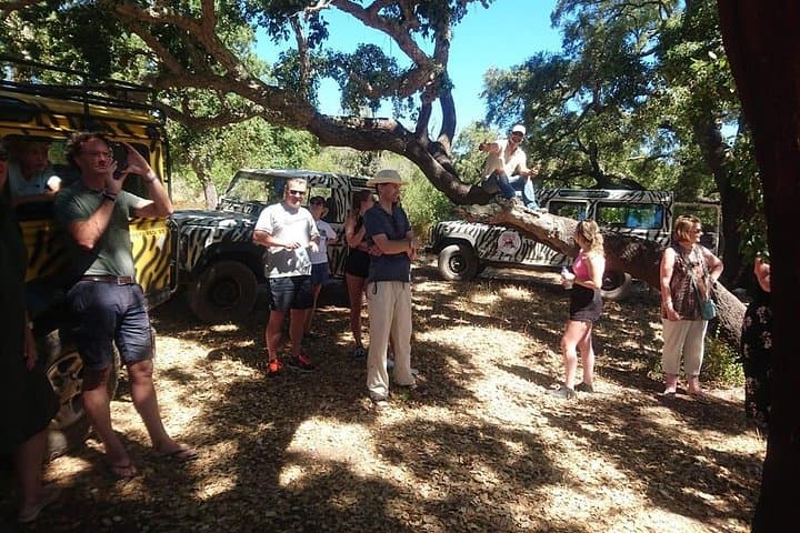 Private Albufeira Jeep Safari: Full-Day Custom 4x4 Tour of Inland Algarve photo 3