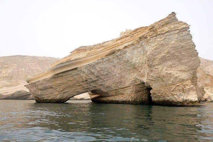 Muscat Dolphin Watching: Responsible Boat Tours to See Spinner and Bottlenose Dolphins photo 2