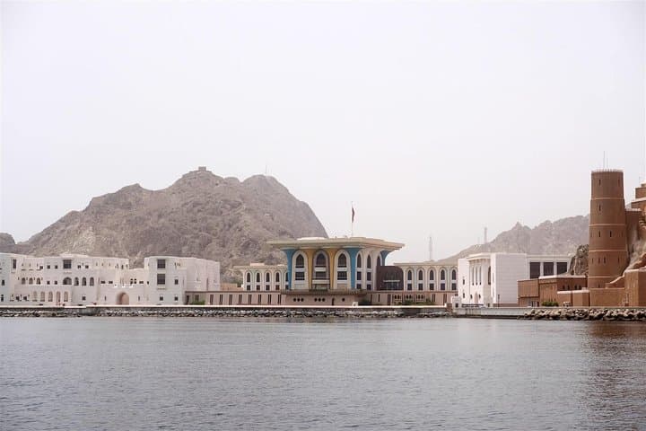 Muscat Dolphin Watching: Responsible Boat Tours to See Spinner and Bottlenose Dolphins photo 3