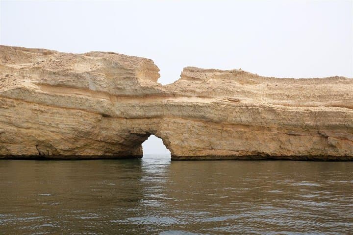 Muscat Dolphin Watching: Responsible Boat Tours to See Spinner and Bottlenose Dolphins photo 4