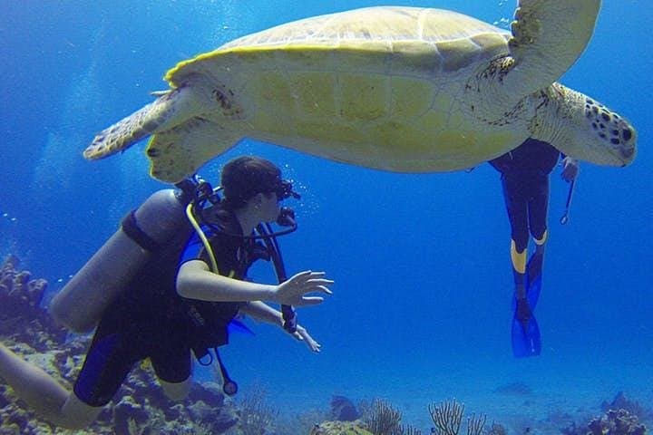 Rincón Discover Scuba Diving — No Certification Needed in Puerto Rico