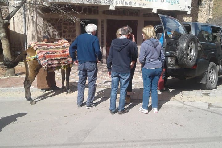 Trek to Isk Summit: Atlas Mountains Day Trip from Marrakech photo 6