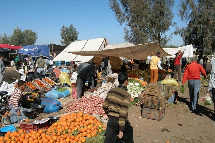 Trek to Isk Summit: Atlas Mountains Day Trip from Marrakech photo 5