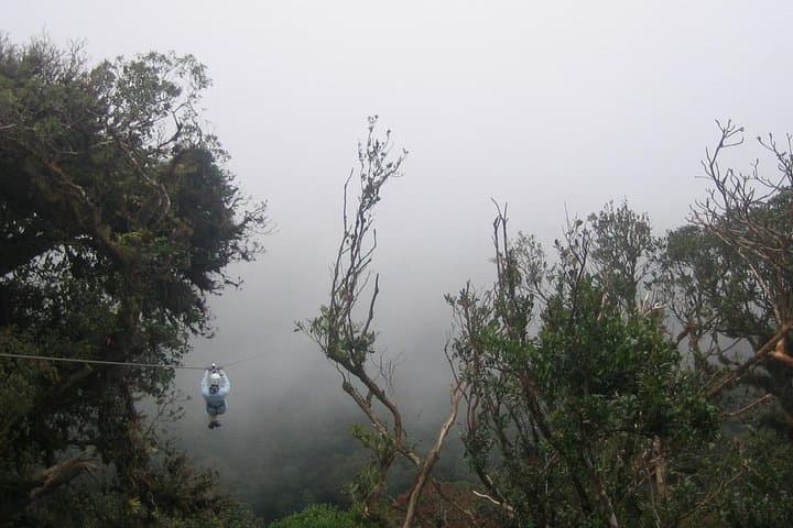 Monteverde Cloud Forest Zipline and Hanging Bridges: Canopy Adventure Tour