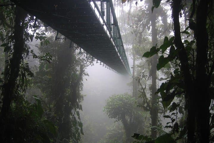 Monteverde Cloud Forest Zipline and Hanging Bridges: Canopy Adventure Tour photo 2