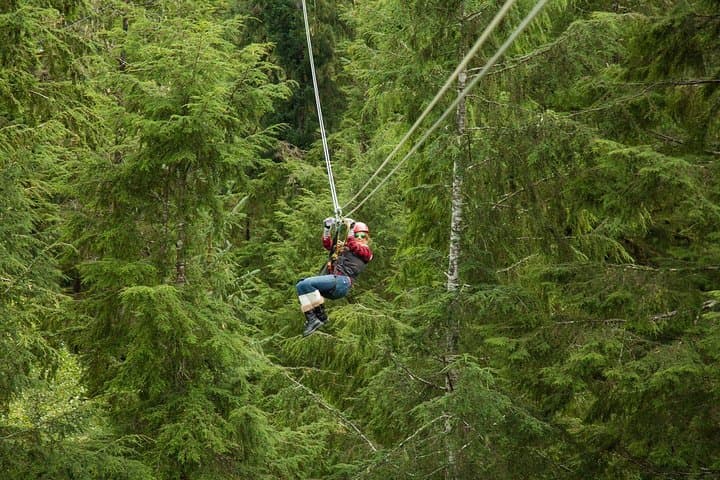Soar the Tongass: Rainforest Canopy Zipline Experience in Ketchikan