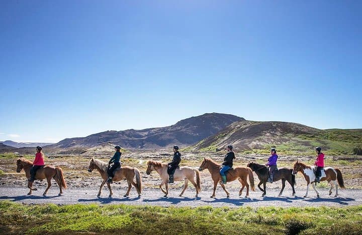 Icelandic Horseback Riding Tour from Reykjavík — Lava Fields & Tölt