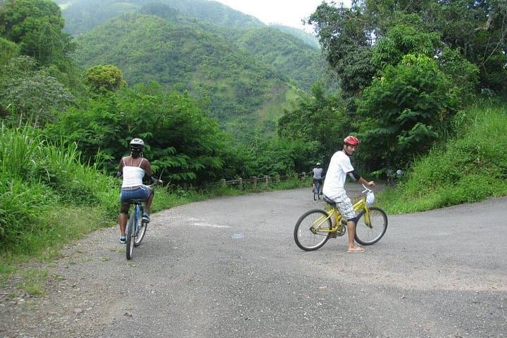 Blue Mountain Bicycle Tour from Kingston — Downhill Ride Through Jamaica's Highlands