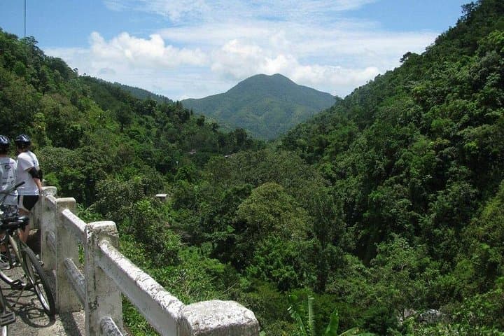 Blue Mountain Bicycle Tour from Kingston — Downhill Ride Through Jamaica's Highlands photo 3