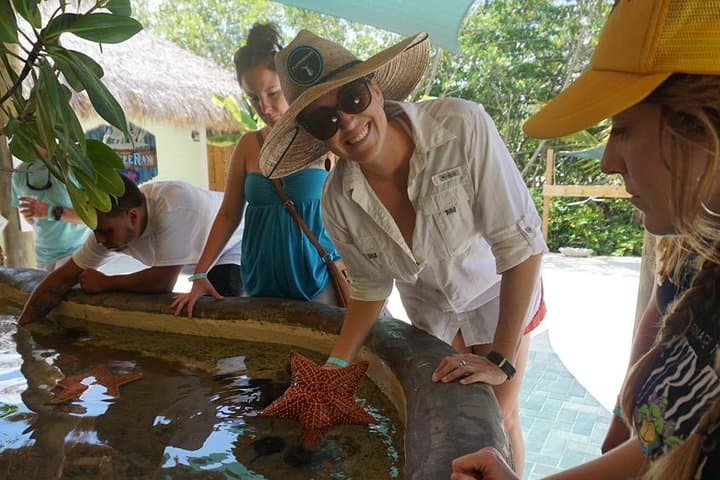 Exploring the Florida Keys: A Full-Day Road Trip from Key West with Aquarium Encounters photo 2
