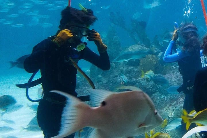 Exploring the Florida Keys: A Full-Day Road Trip from Key West with Aquarium Encounters photo 4