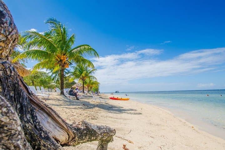 West Bay Beach Snorkelling Break — Roatan Coral Reef & Beach Club photo 6