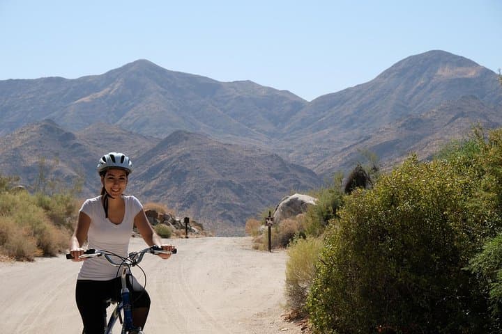 Palm Springs Indian Canyons Bike and Hike: Guided Ride to Agua Caliente Palm Oases photo 2