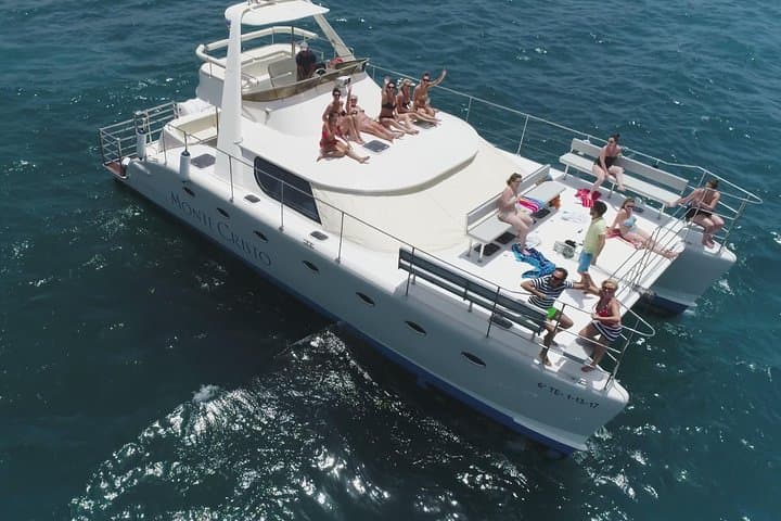 Tenerife Whale and Dolphin Catamaran Cruise from Costa Adeje
