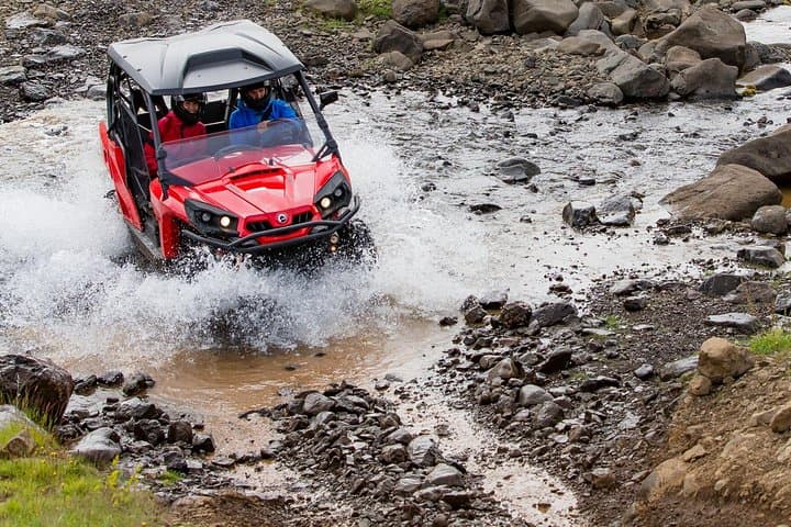 Full-Day Buggy and Whale Watching Adventure from Reykjavik