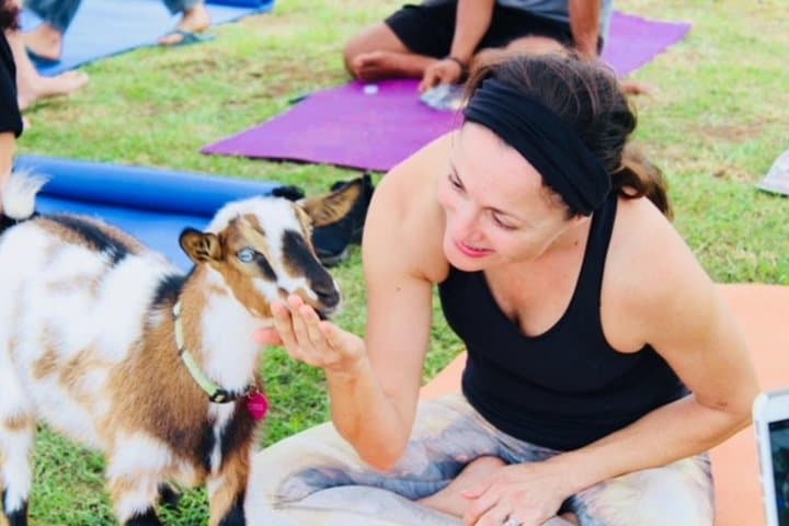 Goat Yoga on Haleakala Slopes: Sunrise Sessions with Miniature Goats in Kula, Maui