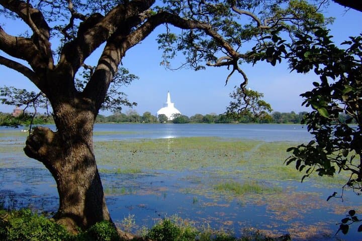 Anuradhapura Private Day Trip: Explore Ancient Sacred Sites from Colombo