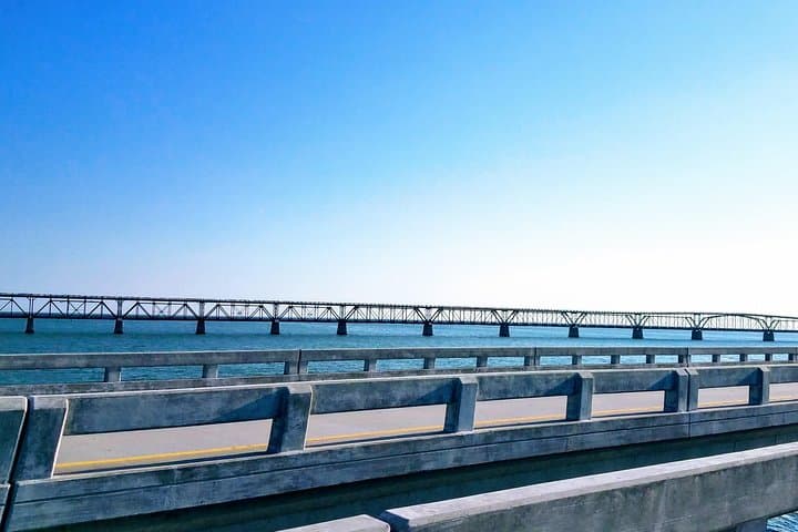 Exploring the Florida Keys: A Nature and History Tour from Key West photo 4