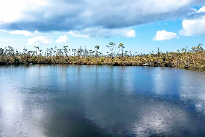 Exploring the Florida Keys: A Nature and History Tour from Key West photo 6