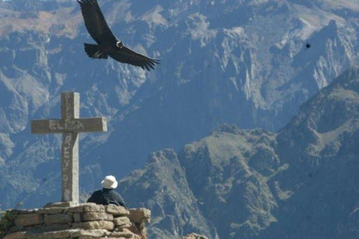 Colca Canyon Full-Day from Arequipa: Condor Viewpoints, Hot Springs & Colonial Towns photo 3