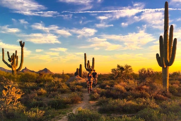 Sonoran Speed: Arizona Desert Guided E-Bike Adventure from Scottsdale