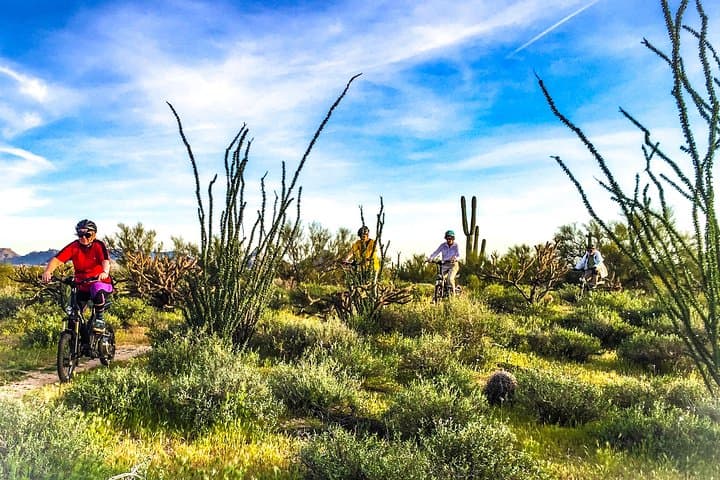 Sonoran Speed: Arizona Desert Guided E-Bike Adventure from Scottsdale photo 4