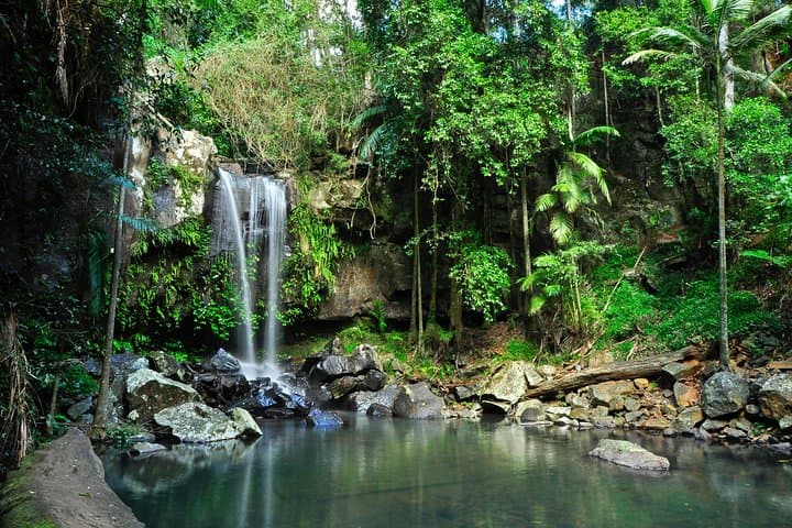 Tamborine Mountain Food, Wine & Rainforest Day Tour - Gold Coast photo 1