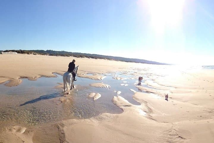 Horseback Riding Near Lisbon: Costa da Caparica Beach, Pine Forest & Arrábida Mountain (2-Hour Options)