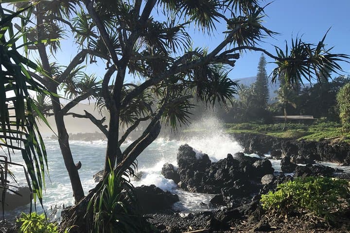Halfway to Hana: Private 4-Hour Road to Hana Experience from Paia photo 2