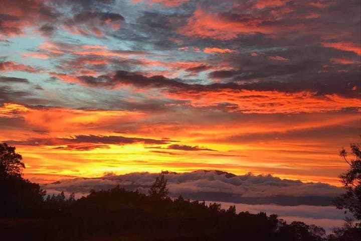 Private Maui Escalade Tour: Custom Full-Day Island Experience photo 4
