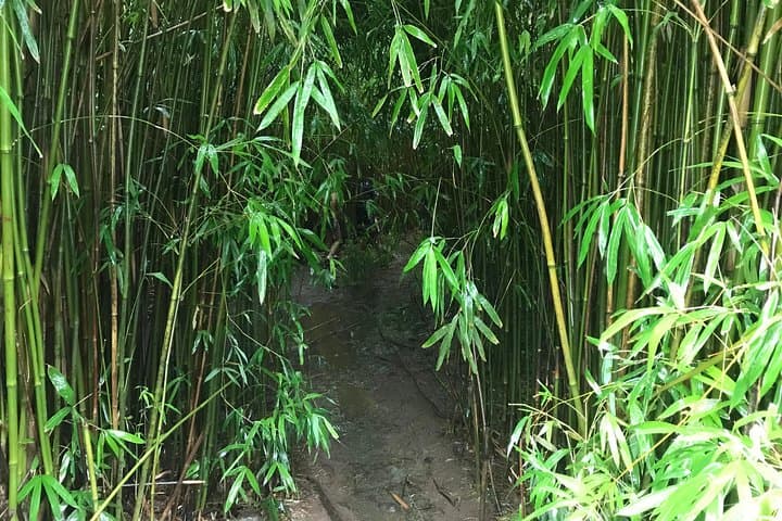 Private Maui Escalade Tour: Custom Full-Day Island Experience photo 5