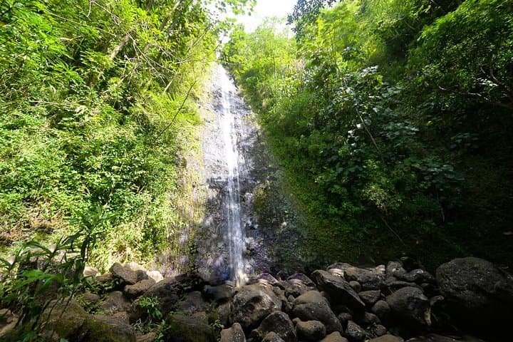 Manoa Valley Waterfall Hike — 2-Mile Guided Trail to a 150-Foot Fall