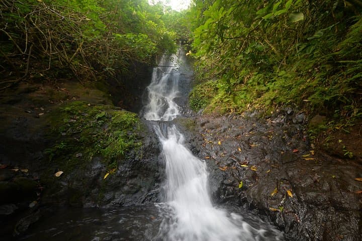 Koolau Hidden Waterfall Hike — Guided 35-Foot Waterfall Trek on Oahu photo 2