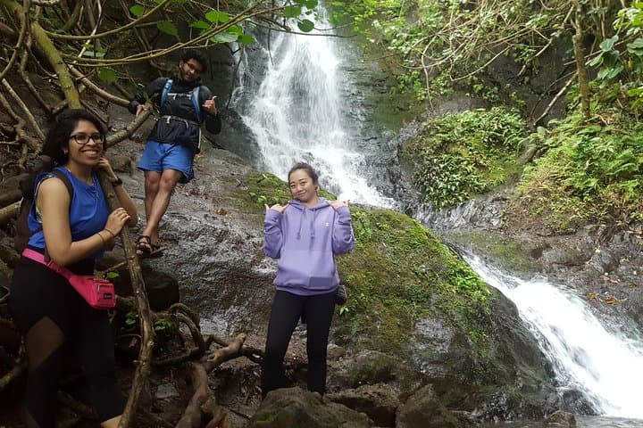 Koolau Hidden Waterfall Hike — Guided 35-Foot Waterfall Trek on Oahu photo 3