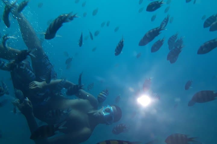 Hurghada Semi-Submarine Red Sea Tour — Underwater Viewing & Snorkel Stops photo 3