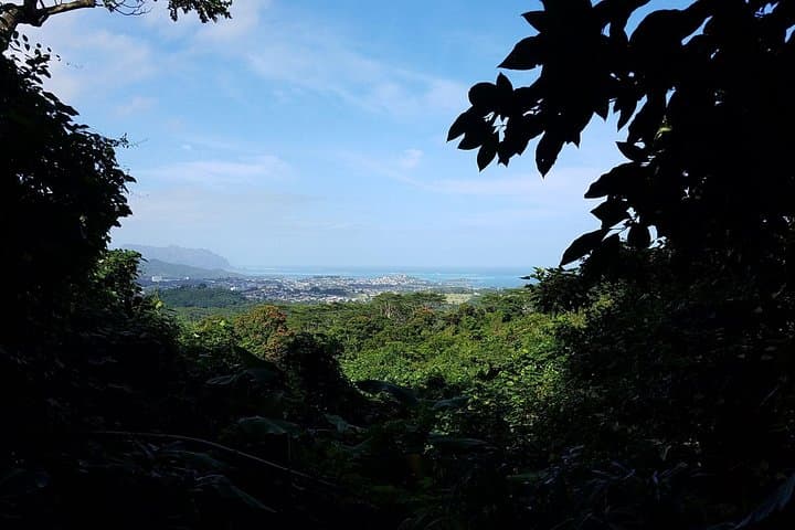 Koolau Hidden Waterfall Hike — Guided 35-Foot Waterfall Trek on Oahu photo 6