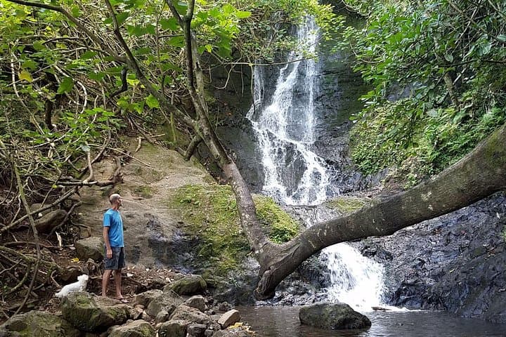 Koolau Hidden Waterfall Hike — Guided 35-Foot Waterfall Trek on Oahu