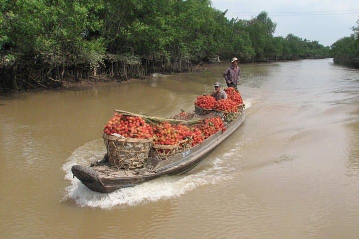 Mekong Delta Cycling to Cai Be: Full-Day Floating Market, Orchards & Local Lunch photo 3
