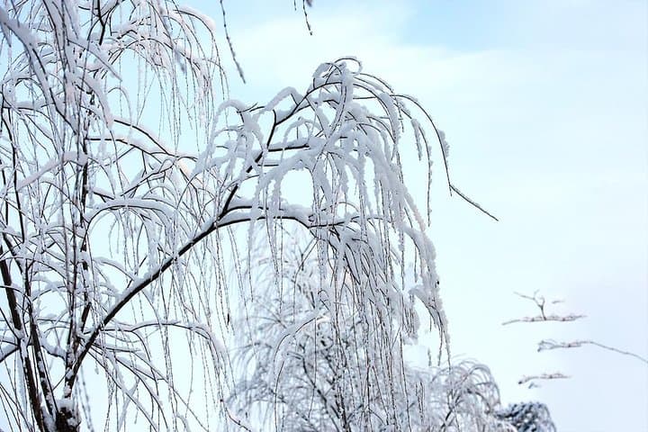 Nanshan Ski & Fengshan Hot Springs: Private All-Inclusive Day Trip from Beijing photo 6