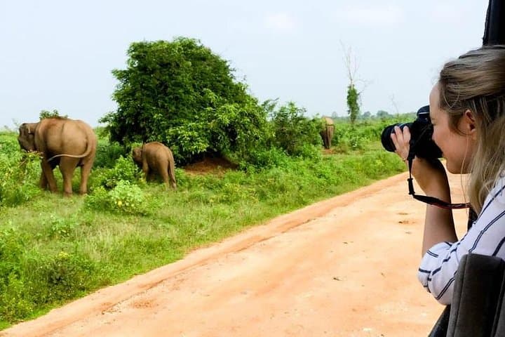 Yala National Park Safari Day Trip from Bentota — Leopard, Elephant & Birdwatching photo 5